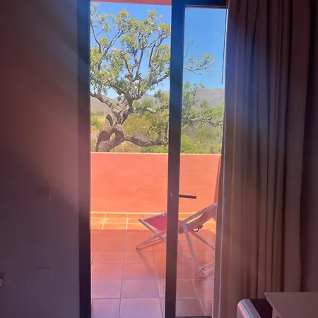 Zebras * Ojén